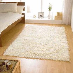 area-rug-cleaning-santa-monica